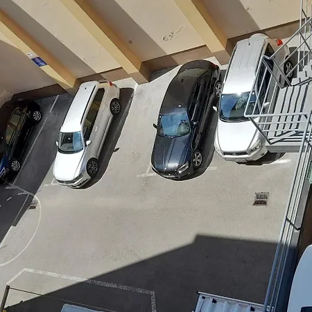 Loryene Pola